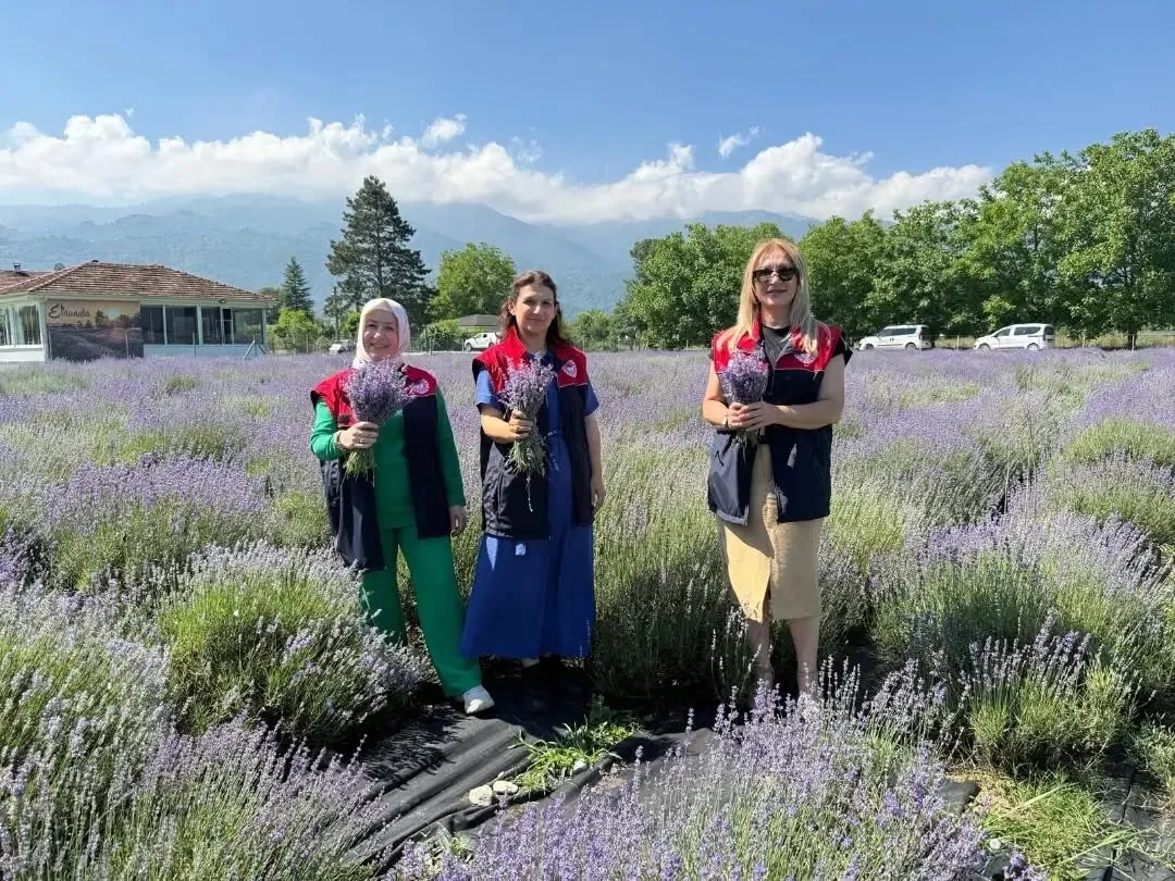 Düzce’nin mor tarlalarında kadın emeği berekete dönüştü