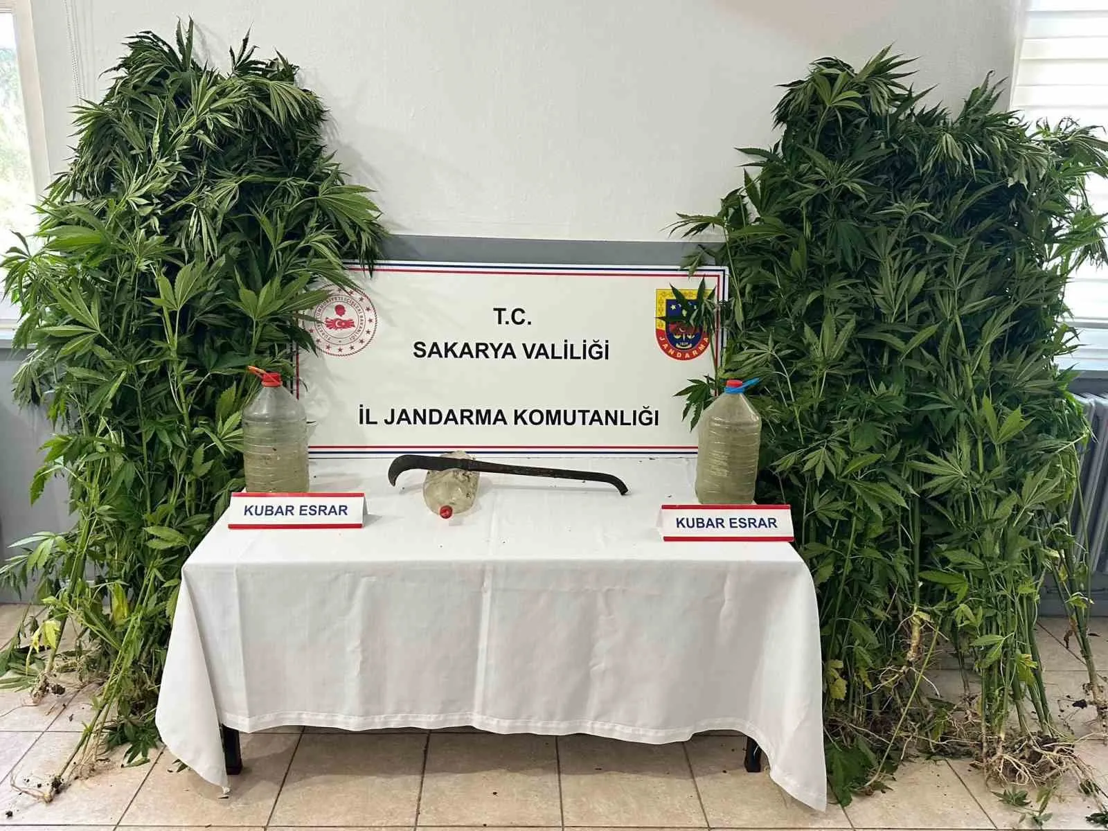 Sakarya'da zehir tacirlerine jandarma darbesi: 3 tutuklama