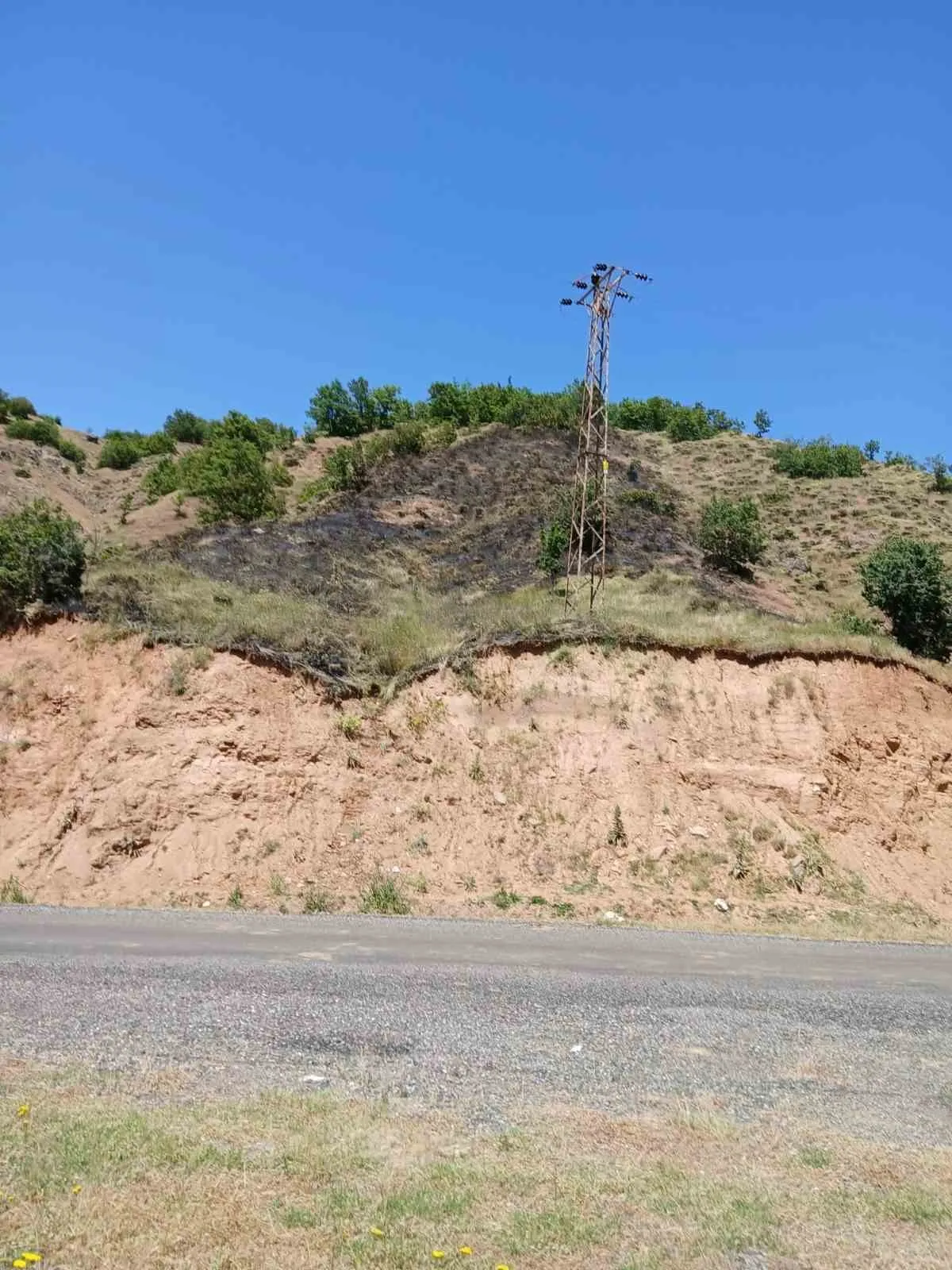 Bingöl'de ormanlık alanda korkutan yangın: Ekipler zamanla yarıştı