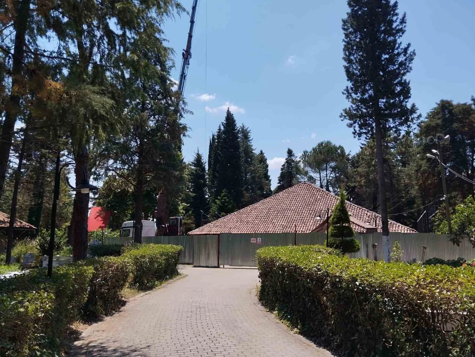 Sekiz asırlık ahşap şaheser dünya mirasına aday: Göğceli Camii’nde restorasyon dönemi