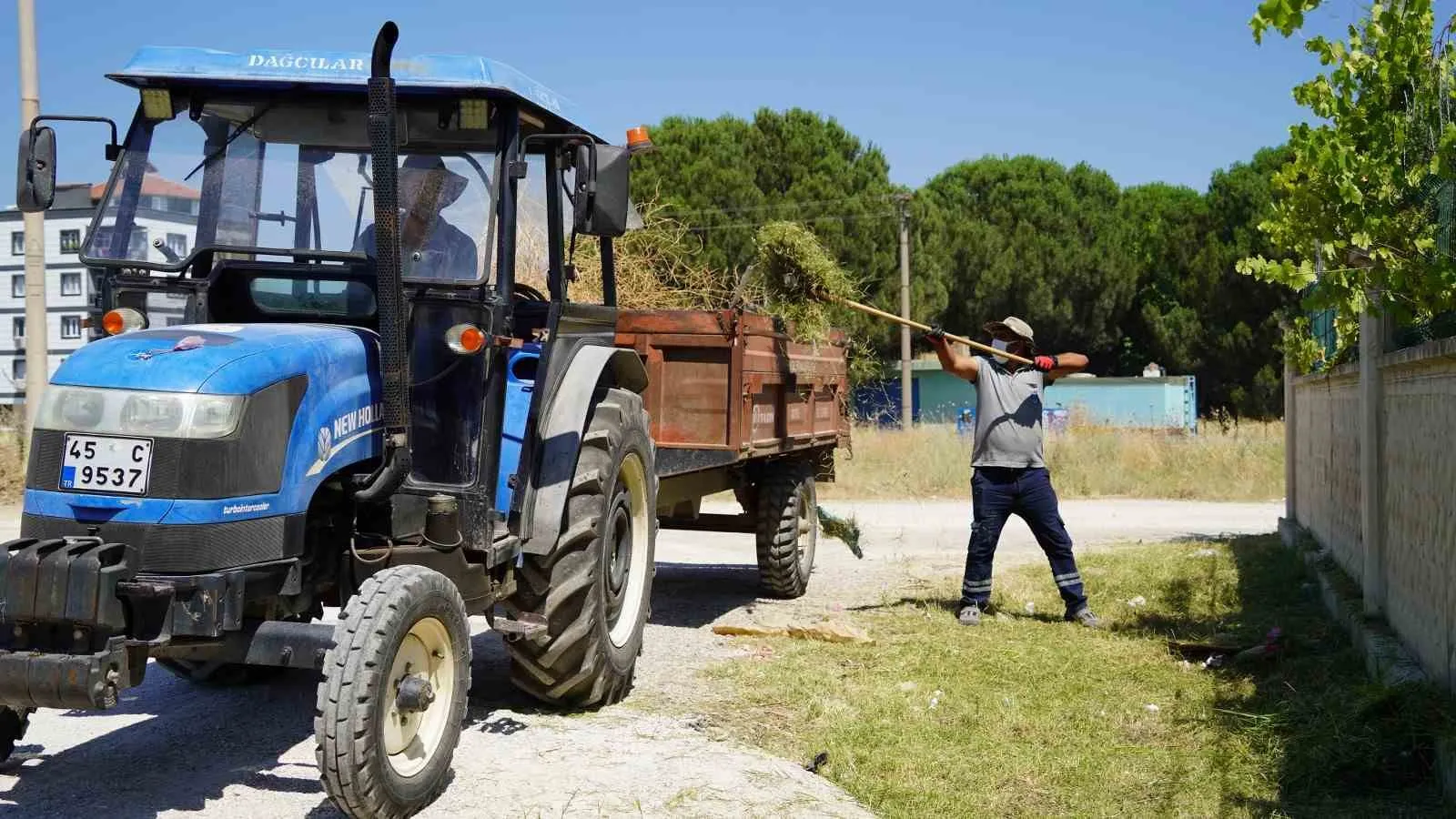 Karaali Mahallesi’nde estetik dokunuş: Yol kenarları ferahladı