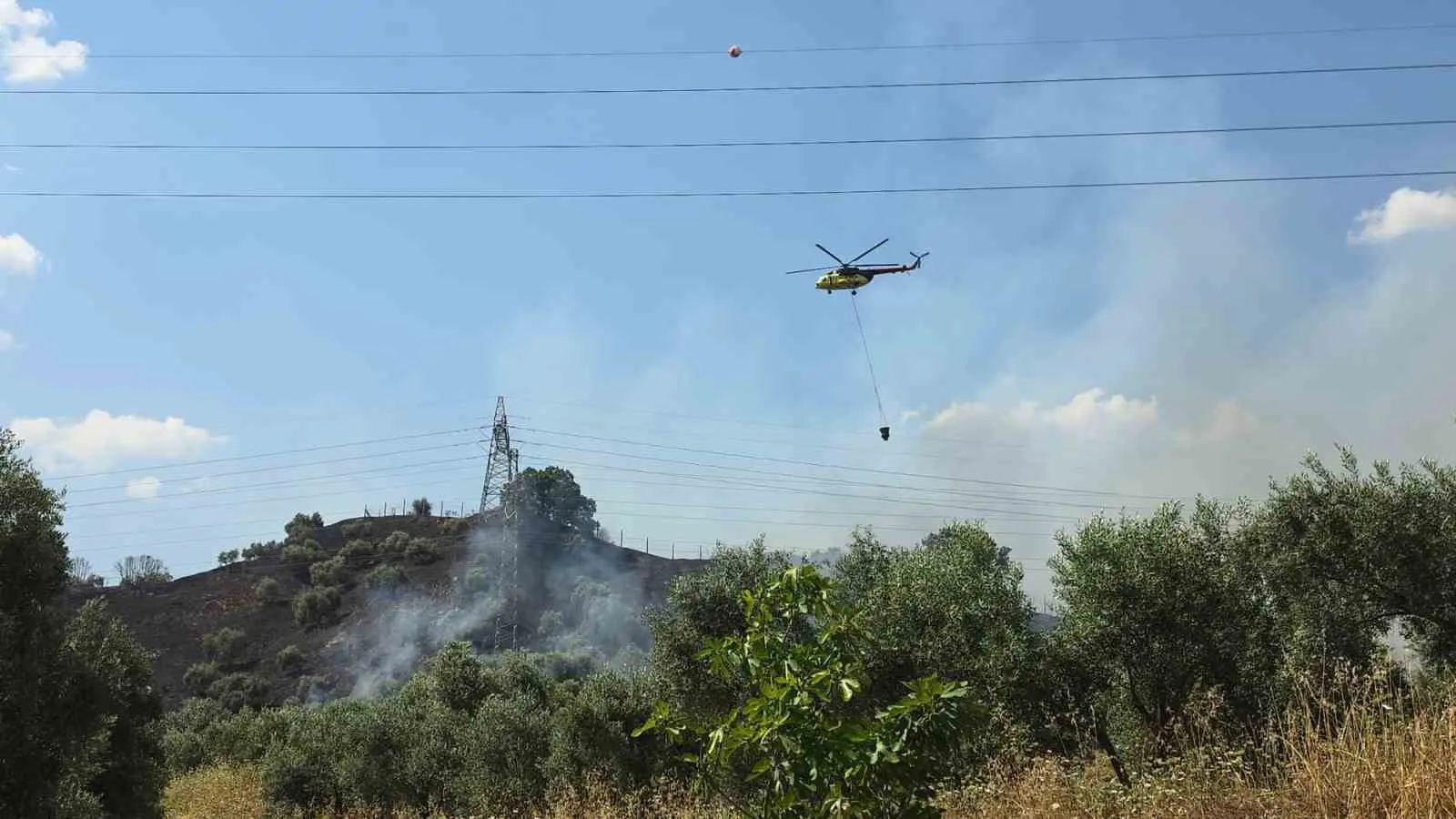 Nazilli'de zeytinlik yangını: Alevlerle mücadele havadan 4 helikopterle sürüyor
