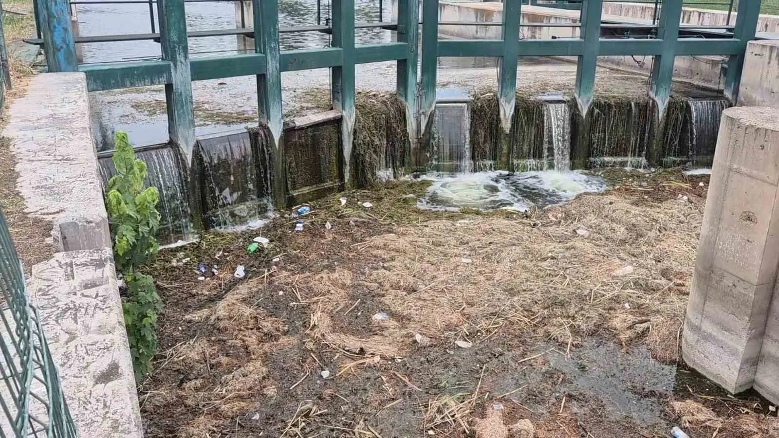 Eskişehir’in gerdanlığı Porsuk’ta kirlilik alarmı: Vatandaşlar isyanda