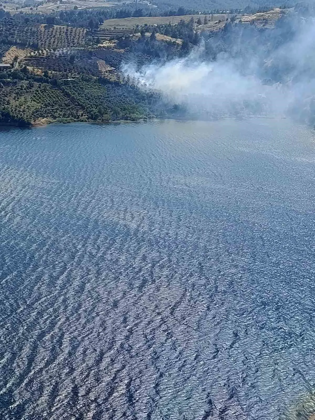 Kahramanmaraş’ta korkutan bahçe yangını: Ekipler alevlere geçit vermedi
