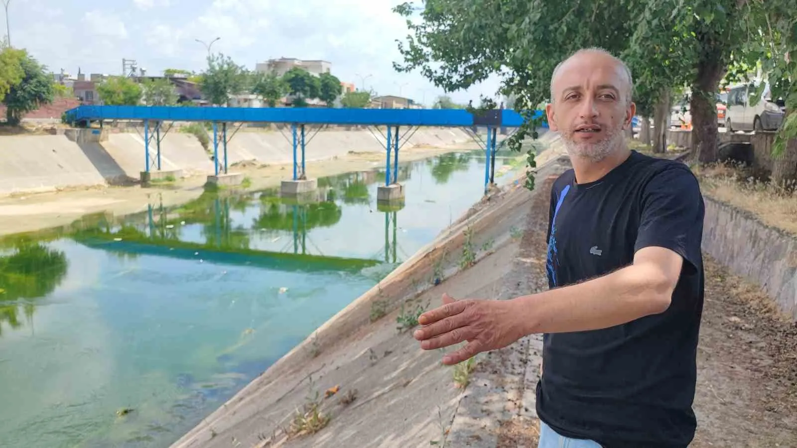 Adana'da sinek kabusu: Vatandaşlar pencereleri açamaz hale geldi