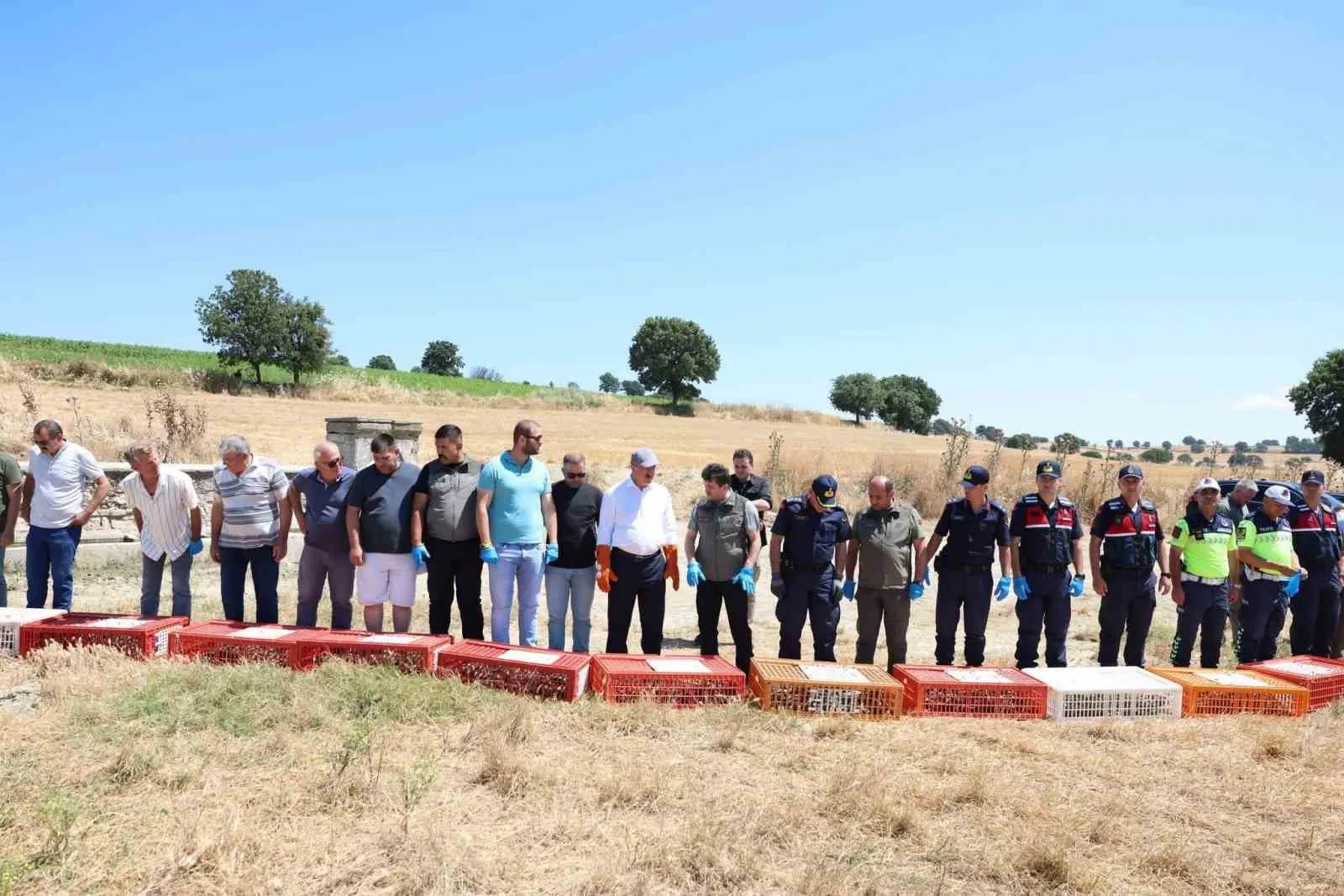 Çanakkale’nin yaban hayatına bin yeni misafir: Keklikler doğaya kanat çırptı