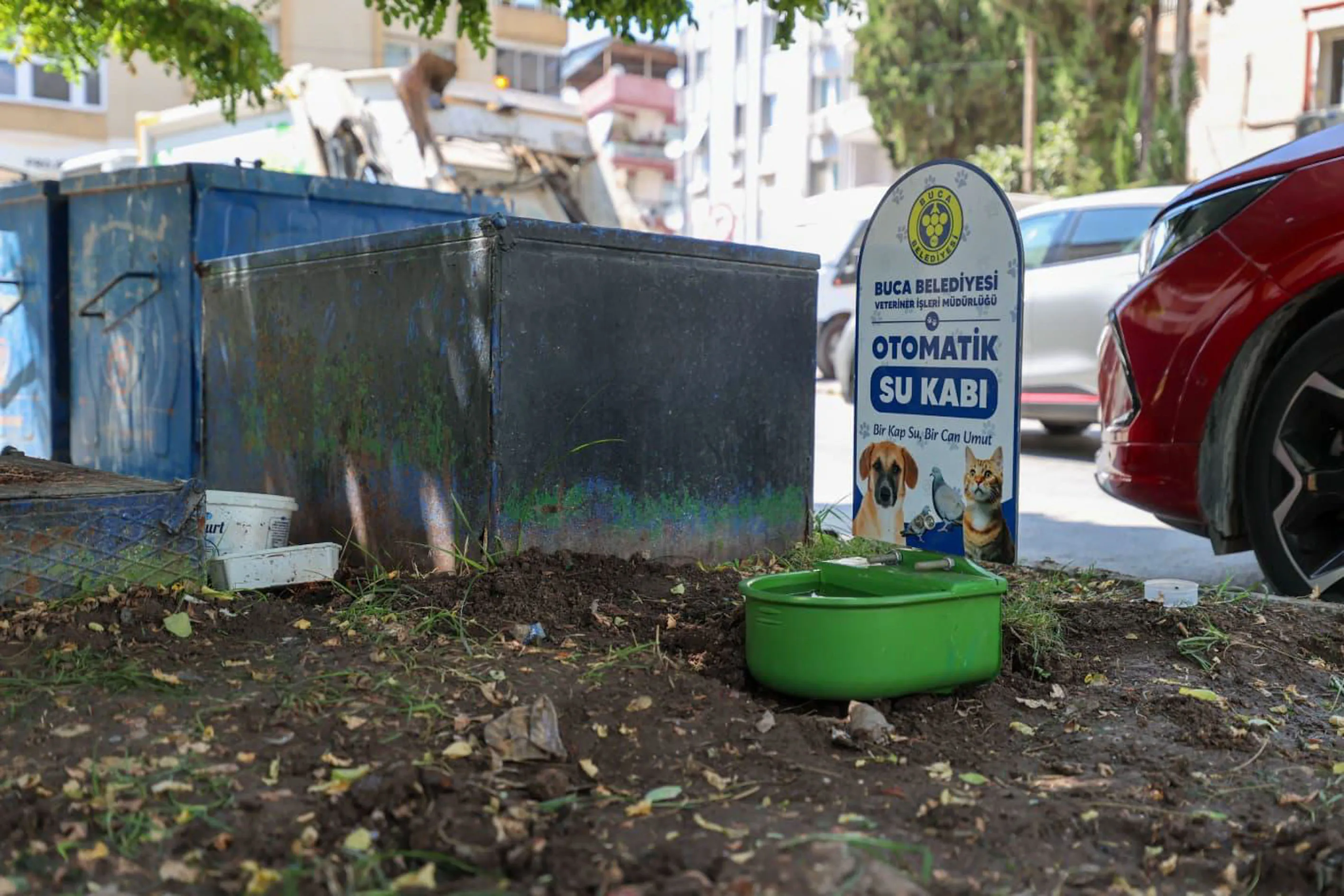 Buca'da kavurucu sıcaklara karşı can dostlara teknolojik çözüm